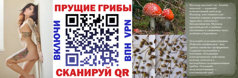 Галлюциногенные грибы мухоморы  дарк нет состав  Островной  kraken ONION 