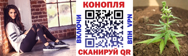 Бошки Шишки конопля  Островной 